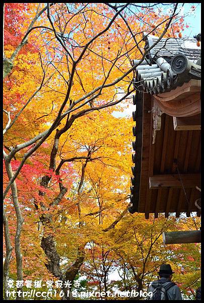 京都賞楓-常寂光寺DSC_4459