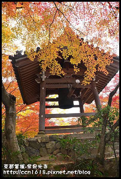 京都賞楓-常寂光寺DSC_4464