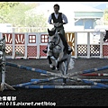 葛瑪蘭馬術俱樂部DSC_1665