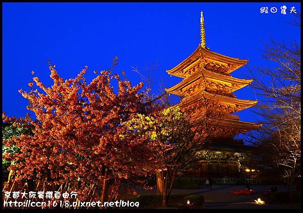 京都大阪賞櫻自由行DSC_8958