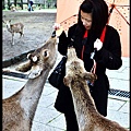 京都大阪賞櫻自由行DSC_0998