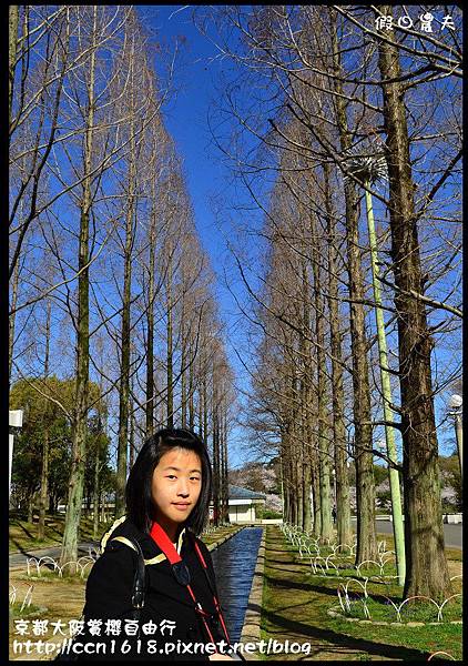 京都大阪賞櫻自由行DSC_1181