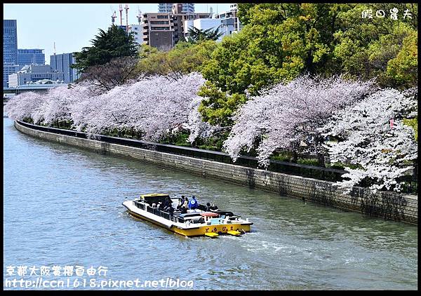 京都大阪賞櫻自由行DSC_2131