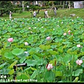 亞洲大學荷花池DSC_8331