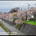 2014京都大阪賞櫻自由行．五條大橋DSC_0746