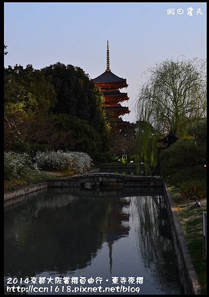 2014京都大阪賞櫻自由行．東寺夜櫻DSC_8936