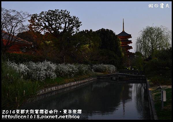 2014京都大阪賞櫻自由行．東寺夜櫻DSC_8938