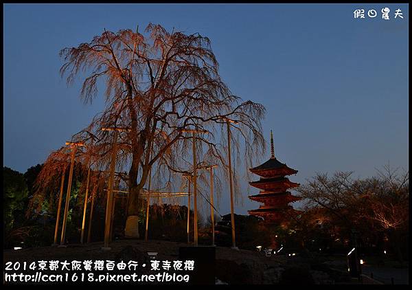 2014京都大阪賞櫻自由行．東寺夜櫻DSC_8944