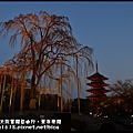 2014京都大阪賞櫻自由行．東寺夜櫻DSC_8944