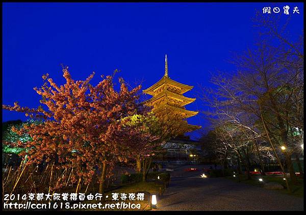 2014京都大阪賞櫻自由行．東寺夜櫻DSC_8966