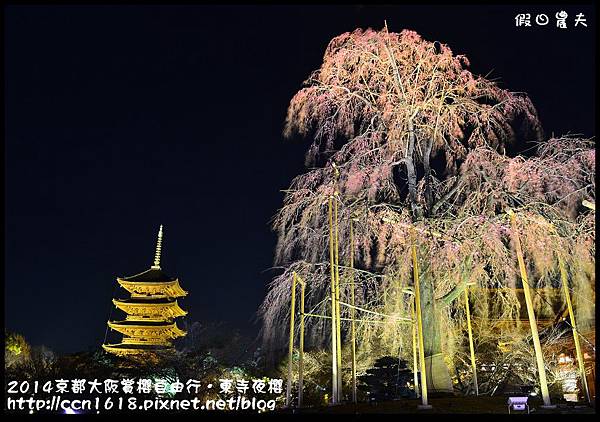 2014京都大阪賞櫻自由行．東寺夜櫻DSC_8993