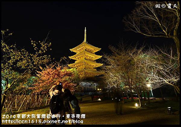 2014京都大阪賞櫻自由行．東寺夜櫻DSC_9016