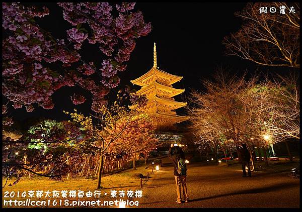 2014京都大阪賞櫻自由行．東寺夜櫻DSC_9020