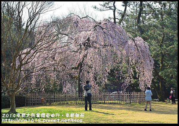 2014京都大阪賞櫻自由行．京都御苑DSC_9068