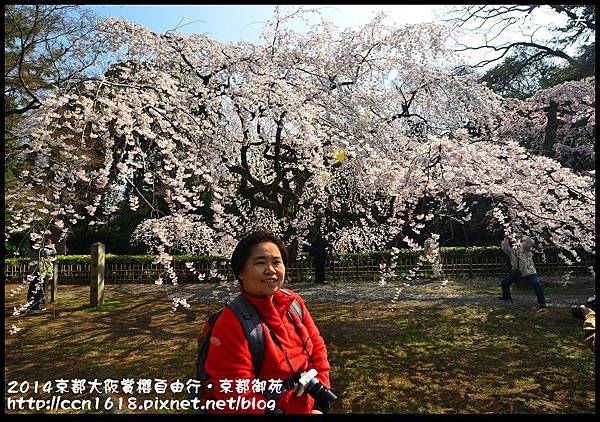 2014京都大阪賞櫻自由行．京都御苑DSC_9218