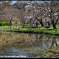 京都植物園DSC_9378