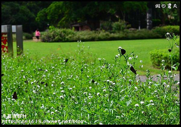 牛耳渡假村DSC_5524