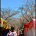 平野神社DSC_9554