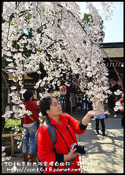 平野神社DSC_9577