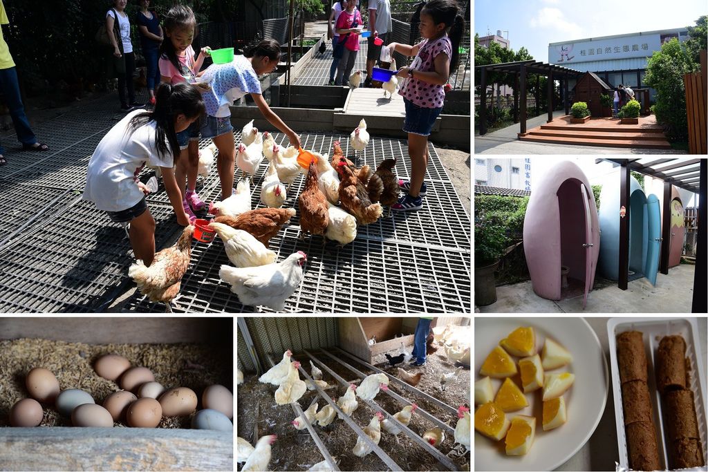 桂園自然生態農場.jpg 桂園自然生態農場.jpg