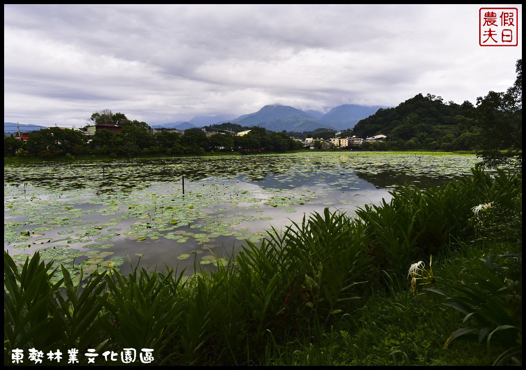 東勢林業文化園區DSC_1426.jpg 東勢林業文化園區DSC_1426.jpg