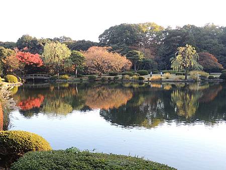 13 11 22月關東 關西賞楓趣新宿御苑の秋 Morgan的家 痞客邦