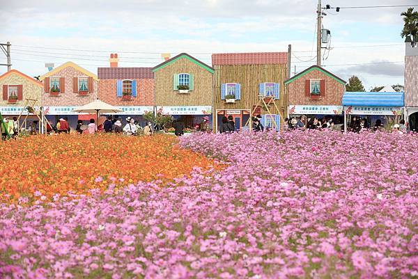 大片花海.jpg 大片花海.jpg