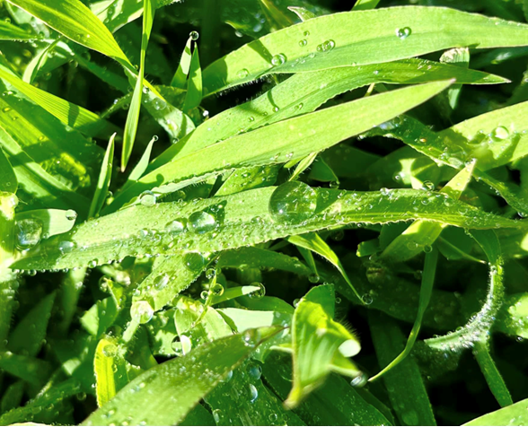 1.20 - 1.png 1.20 - 1.png