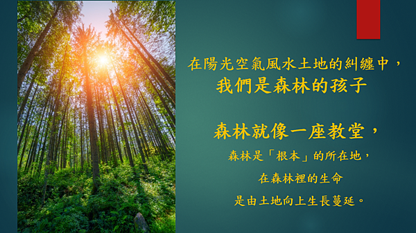 越有人性 越有神性 （李碧圓修女）