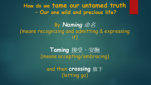越有人性 越有神性 （李碧圓修女）