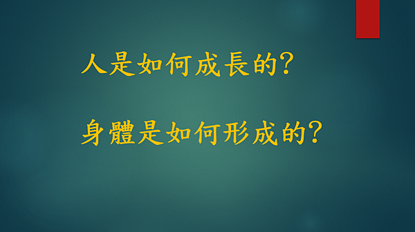 越有人性 越有神性 （李碧圓修女）