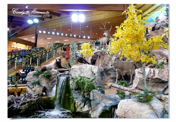 Cabela's-10.jpg