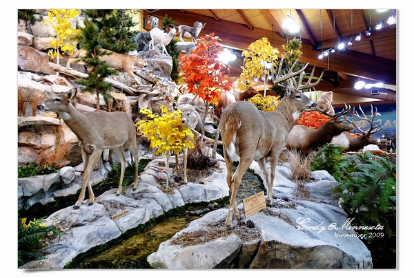 Cabela's-11.jpg