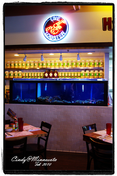 Stella's Fish Cafe-05.jpg