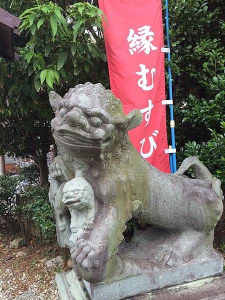 IMG_0317.jpg IMG_0317.jpg