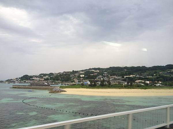 IMG_0388.JPG IMG_0388.JPG