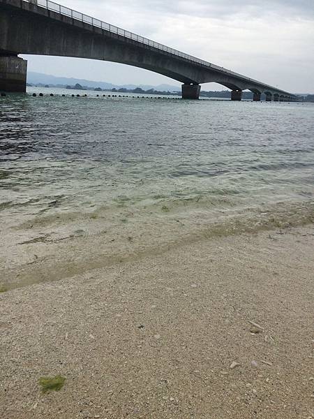 IMG_0396.jpg IMG_0396.jpg