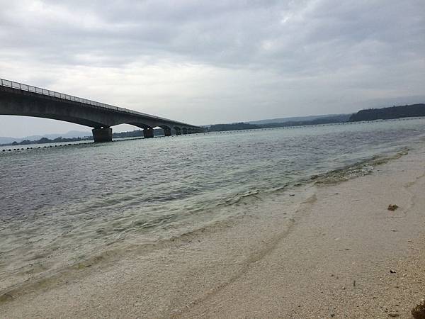 IMG_0397.JPG IMG_0397.JPG