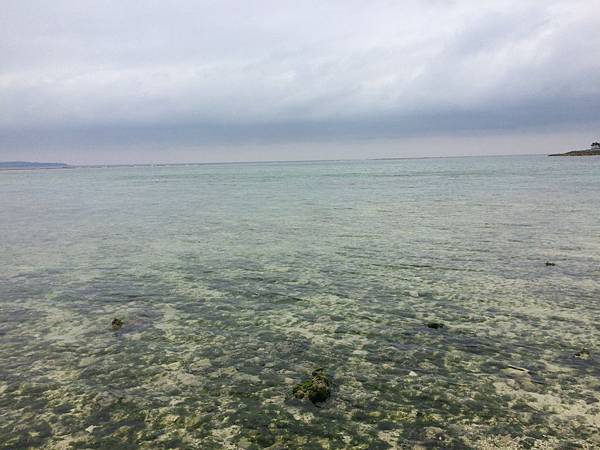 IMG_0444.JPG IMG_0444.JPG