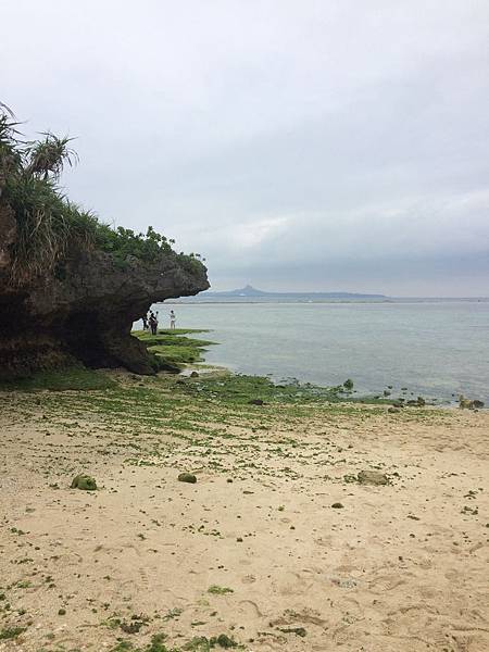 IMG_0443.jpg IMG_0443.jpg