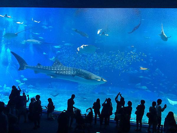 IMG_0423.JPG IMG_0423.JPG