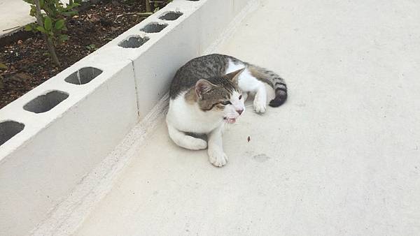 IMG_0570.JPG IMG_0570.JPG