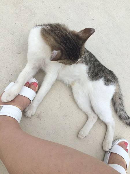 IMG_0577.jpg IMG_0577.jpg