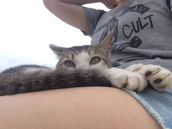 IMG_0580.JPG IMG_0580.JPG