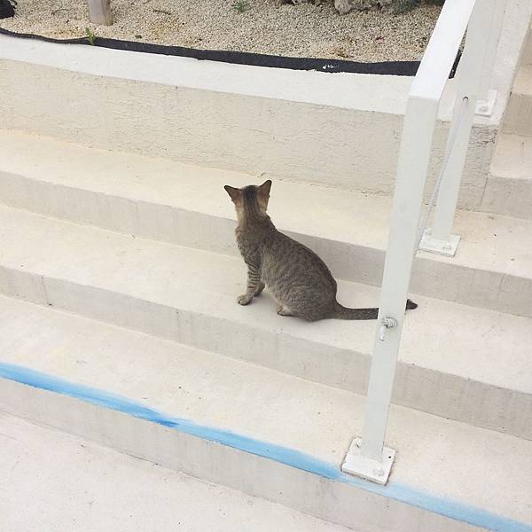 IMG_0621.JPG IMG_0621.JPG