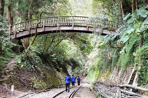 21 木橋.jpg 21 木橋.jpg