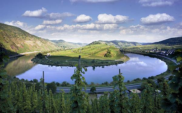 Mosel near Bremm.jpg