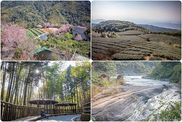 〔雲林草嶺半日慢活遊〕 石壁蘇家農場 / 雲嶺之丘 / 五元