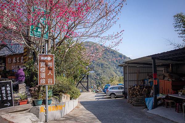 〔雲林草嶺半日慢活遊〕 石壁蘇家農場 / 雲嶺之丘 / 五元