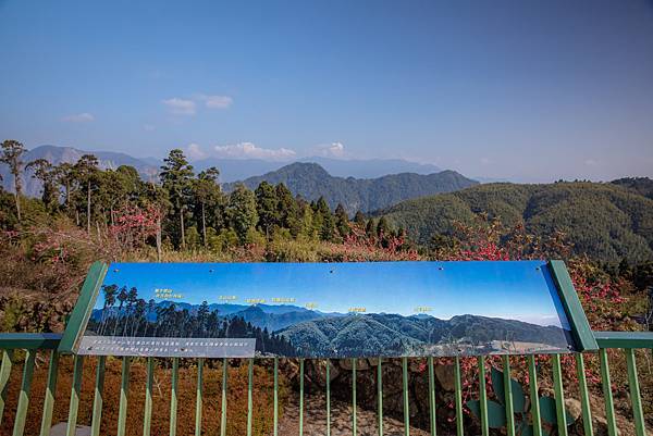 〔雲林草嶺半日慢活遊〕 石壁蘇家農場 / 雲嶺之丘 / 五元